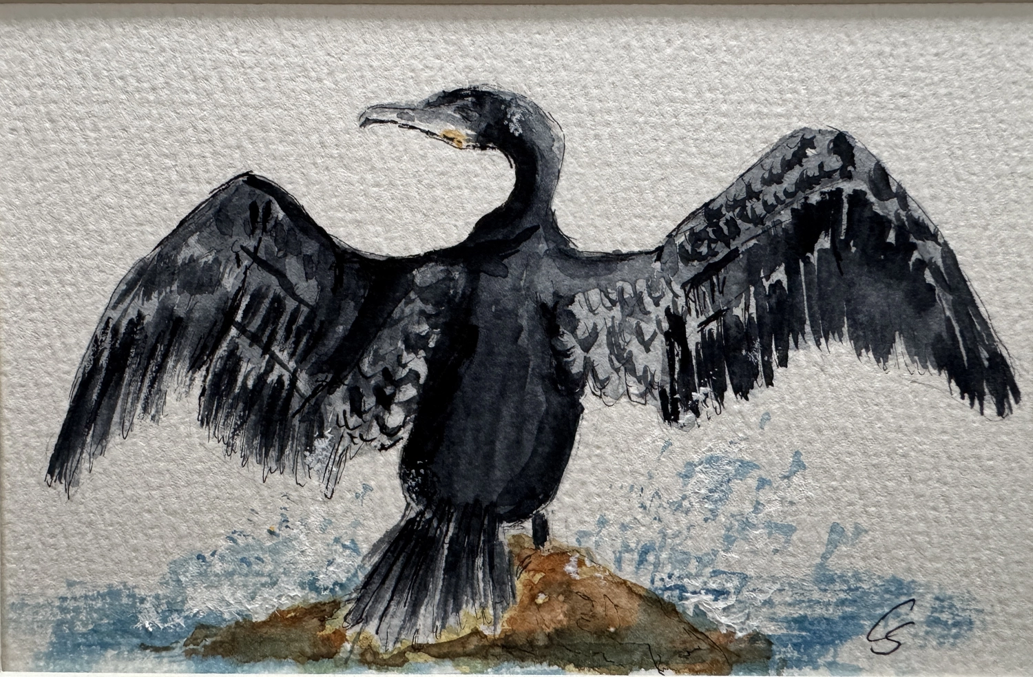 Anke Albrecht – Coach – Vogelmalerei