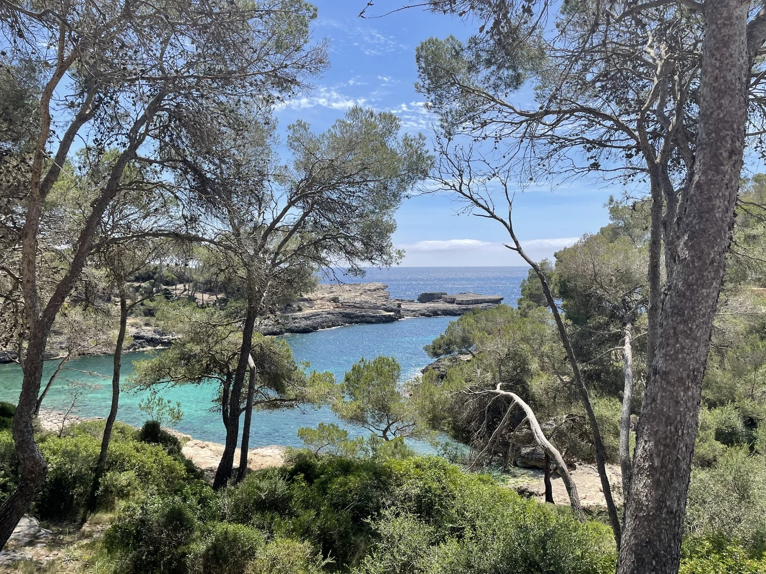 Anke Albrecht – Coach – Wald