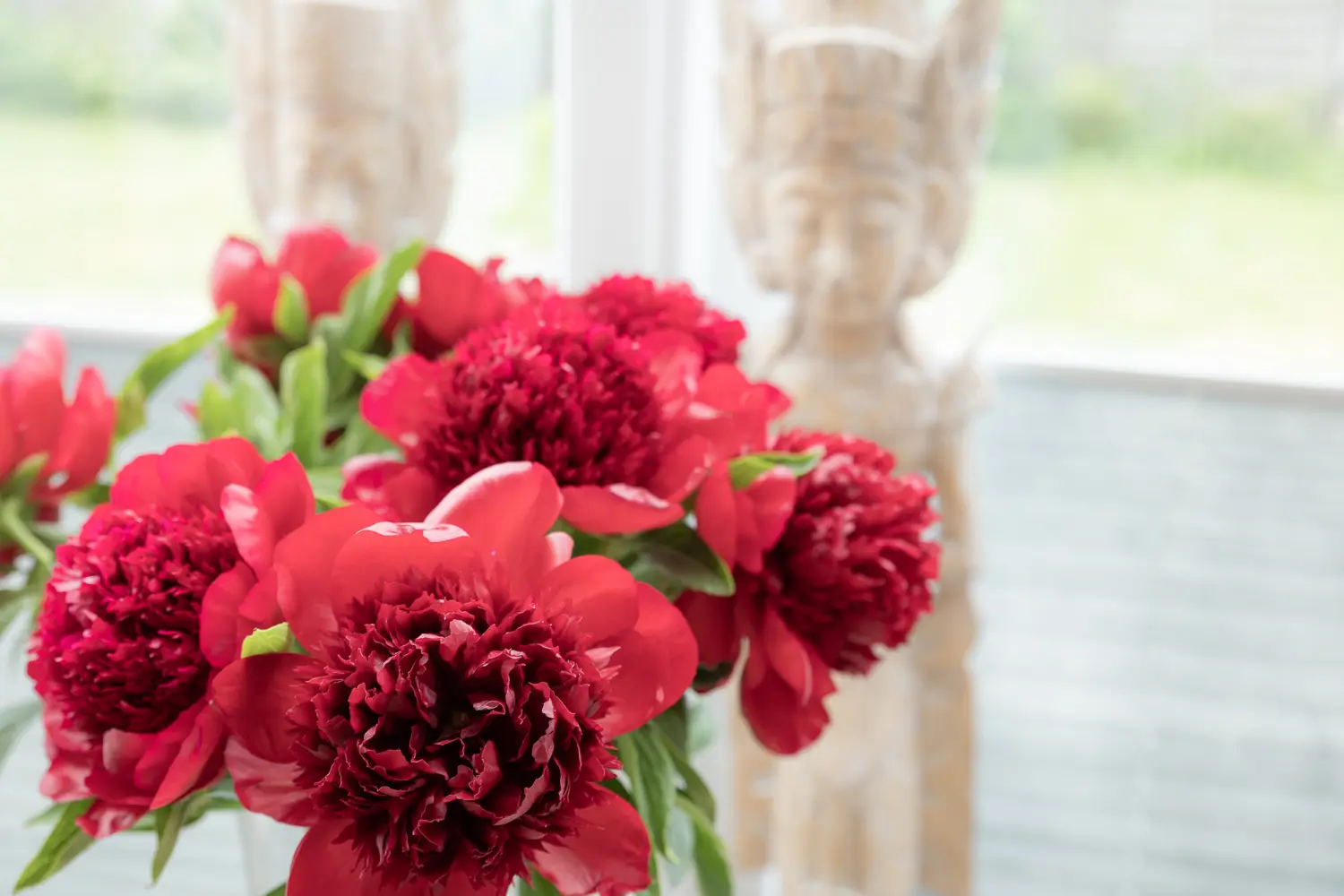 Anke Albrecht – Coach – rote Blumen